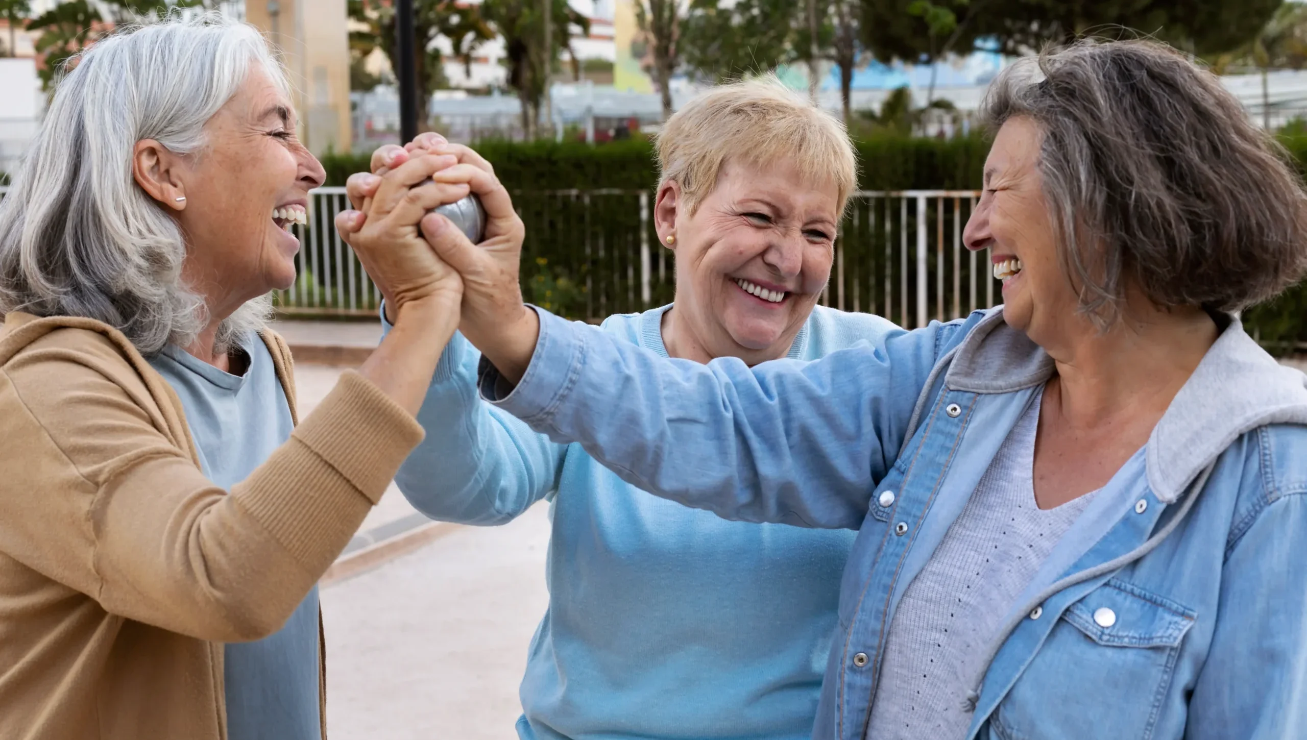 elderly-friends-playing-petanque La longère du CIAS à l'Ouest de Rennes, vous propose un nouveau programme pour la période de mai à août 2026.